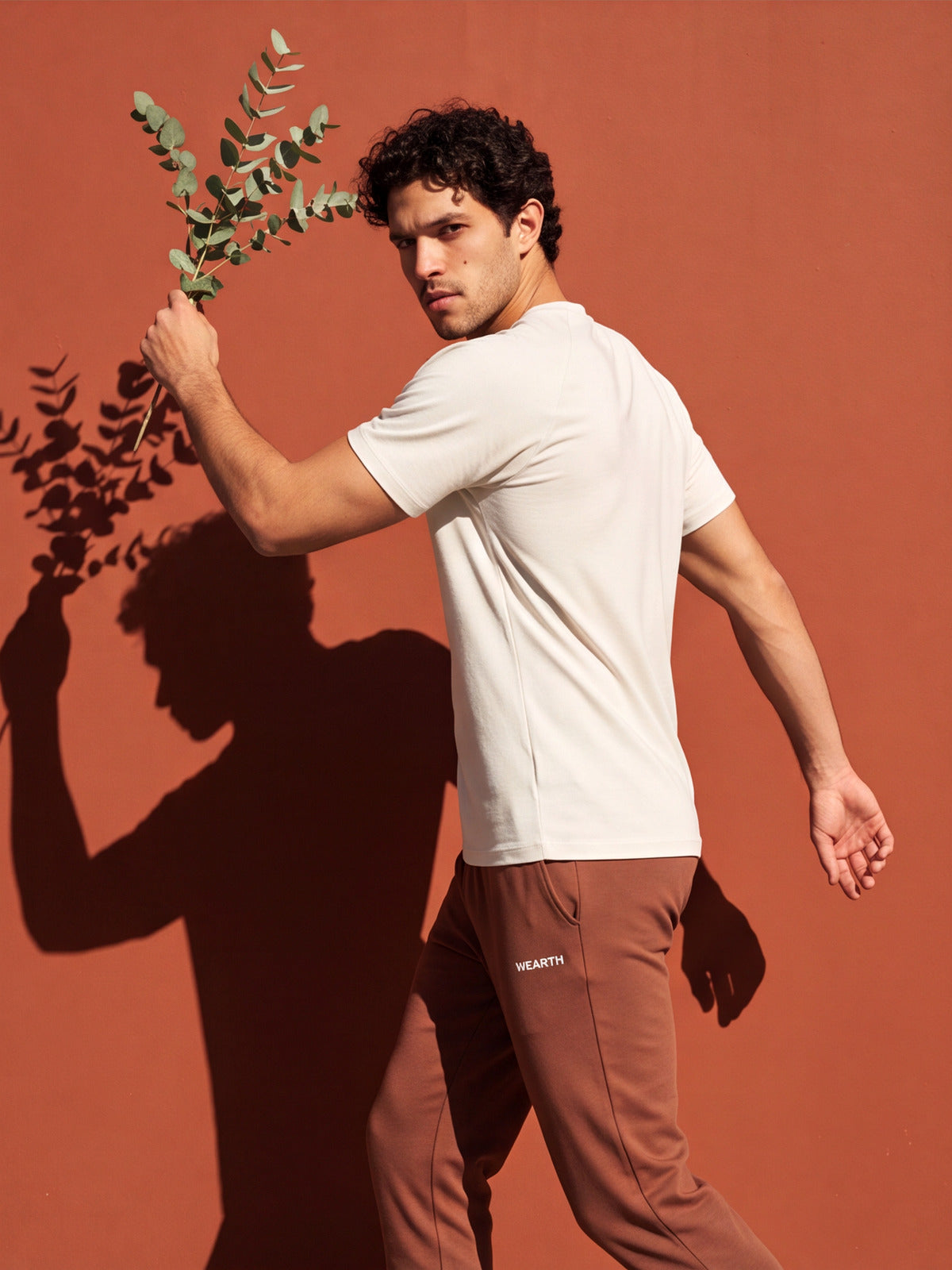 PDP:White + Brown-01